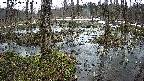 mizubasho1-20250403085016.jpg