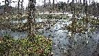 mizubasho1-20250403090015.jpg