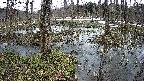 mizubasho1-20250403100018.jpg