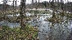 mizubasho1-20250403103018.jpg