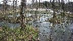 mizubasho1-20250403104017.jpg