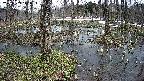 mizubasho1-20250403111016.jpg