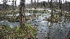 mizubasho1-20250403113016.jpg