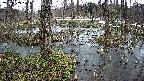 mizubasho1-20250403124017.jpg