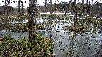 mizubasho1-20250403130016.jpg