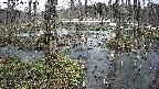 mizubasho1-20250403131018.jpg