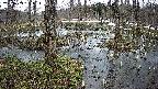 mizubasho1-20250403132017.jpg