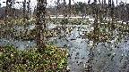 mizubasho1-20250403141018.jpg