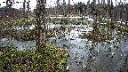 mizubasho1-20250403150016.jpg