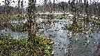 mizubasho1-20250403161018.jpg