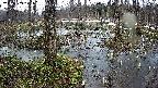 mizubasho1-20250403171015.jpg