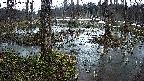 mizubasho1-20250403180019.jpg