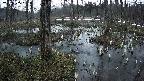 mizubasho1-20250405050014.jpg