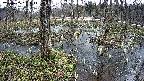mizubasho1-20250405095016.jpg