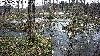 mizubasho1-20250405110017.jpg