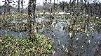 mizubasho1-20250405115016.jpg