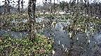 mizubasho1-20250405142015.jpg