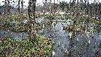 mizubasho1-20250405150017.jpg