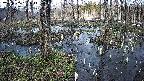 mizubasho1-20250405155017.jpg