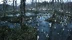 mizubasho1-20250405183016.jpg