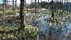 mizubasho1-20250406093015.jpg