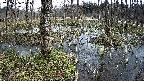 mizubasho1-20250406104016.jpg