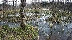 mizubasho1-20250406105016.jpg