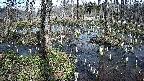mizubasho1-20250406133016.jpg