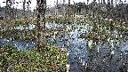 mizubasho1-20250406134015.jpg