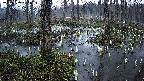 mizubasho1-20250407051017.jpg