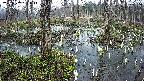 mizubasho1-20250407065017.jpg
