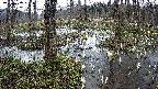 mizubasho1-20250407092015.jpg