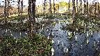 mizubasho1-20250407171017.jpg