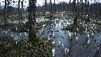 mizubasho1-20250408050016.jpg