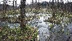 mizubasho1-20250408102014.jpg