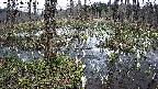 mizubasho1-20250408112017.jpg