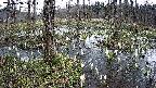 mizubasho1-20250408120014.jpg
