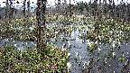mizubasho1-20250408124016.jpg
