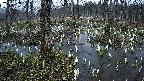 mizubasho1-20250408181018.jpg