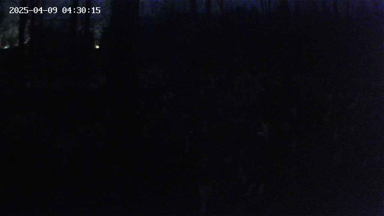 mizubasho1-20250409043016.jpg