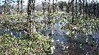 mizubasho1-20250409115017.jpg