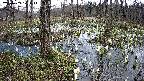 mizubasho1-20250409121017.jpg