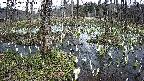 mizubasho1-20250409131016.jpg