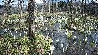 mizubasho1-20250409133013.jpg