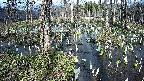 mizubasho1-20250409151016.jpg