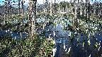 mizubasho1-20250409153015.jpg