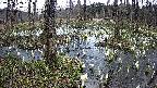 mizubasho1-20250409155016.jpg