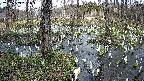mizubasho1-20250409160016.jpg