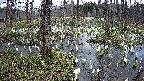 mizubasho1-20250409172017.jpg