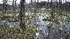 mizubasho1-20250409174015.jpg